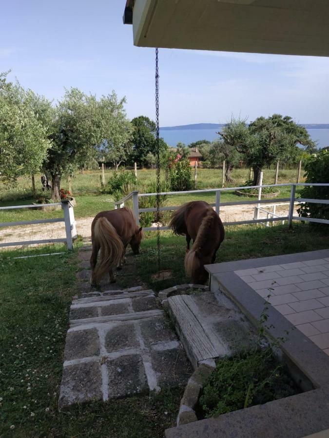 شقة Il Poggio Degli Ulivi ترفيجنانو رومانو المظهر الخارجي الصورة